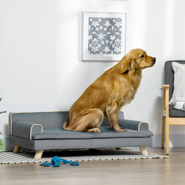 Diy dog sofa sale